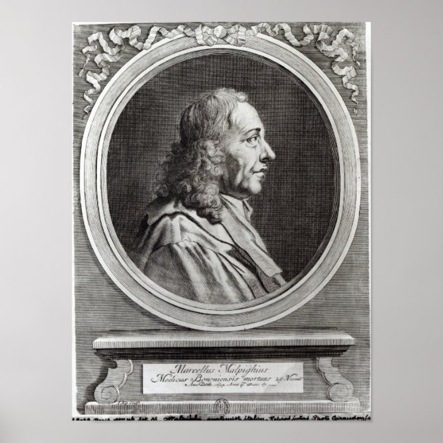 Marcello Malpighi alt 67.1694 Poster (Vorne)
