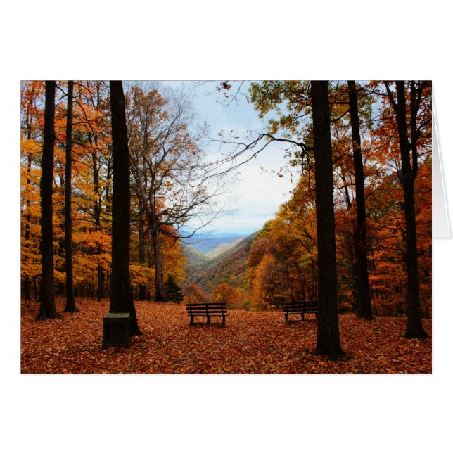 Märchenfall (Vorderseite (Horizontal))