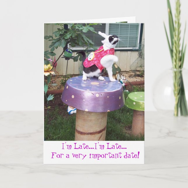 Märchenland-weißes Kaninchen-verspätete Karte (Vorderseite)