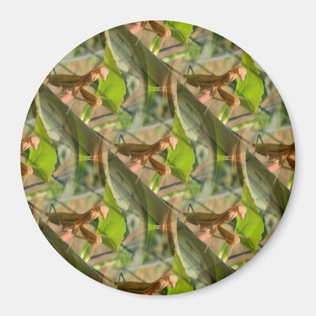 Marchin' On... Magnet (Vorne)