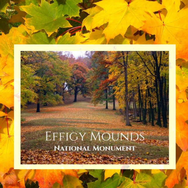 Marching Bear Mound, Herbst, Effigy Mounds Postkarte (Von Creator hochgeladen)