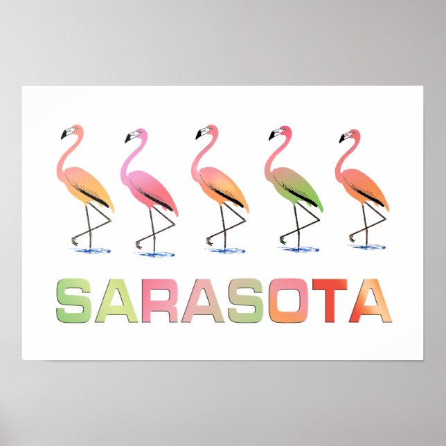 Marching Flamingos Sarasota Poster (Vorne)