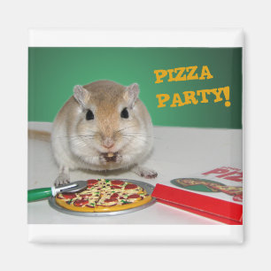 Marco der die Pizza-Party-Magnet des Gerbils Magnet
