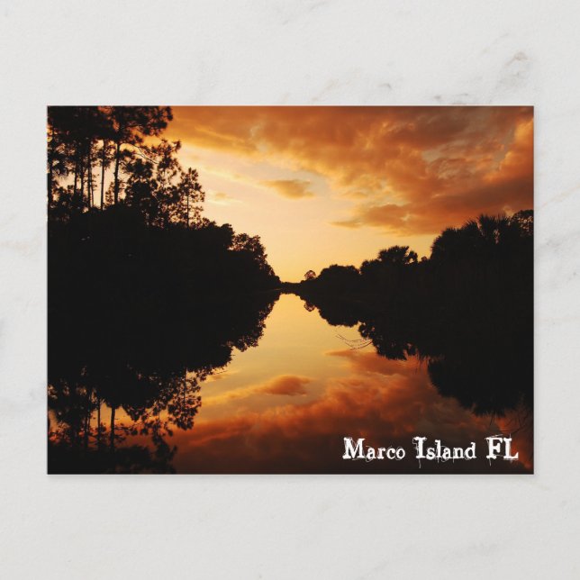Marco Island FL Postkarte (Vorderseite)