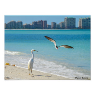 Marco Island Fotodruck