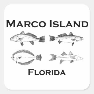 Marco Island Saltwater Fish Quadratischer Aufkleber