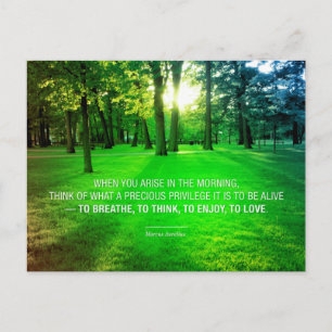 Marcus Aurelius Life Stoic Privilege Zitat Life Postkarte