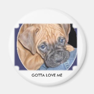 Marcyhund hier, GOTTA LIEBE ME Magnet