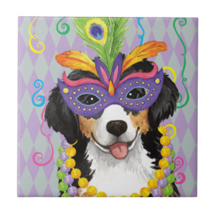 Mardi Gras Berner Fliese