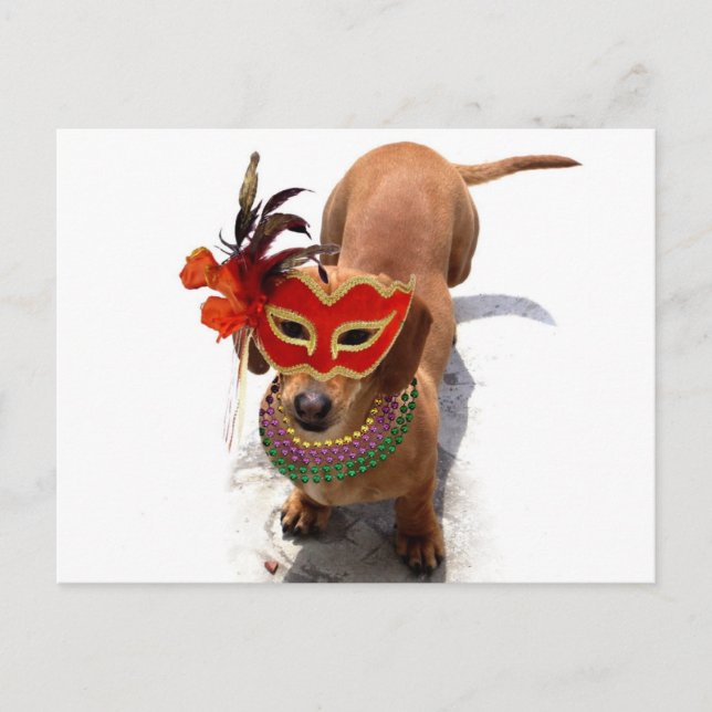 Mardi Gras Dackel Hund Postkarte (Vorderseite)