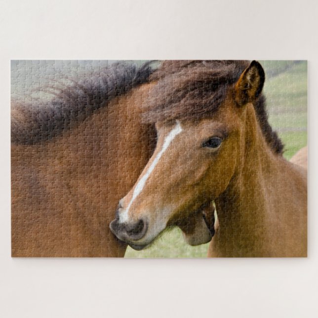 Mare and Colt Puzzle (Horizontal)