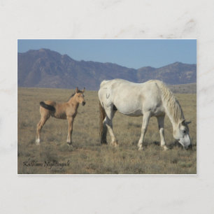 Mare and Foal (Pferde) Postkarte