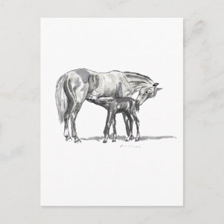 Mare and Foal Postkarte