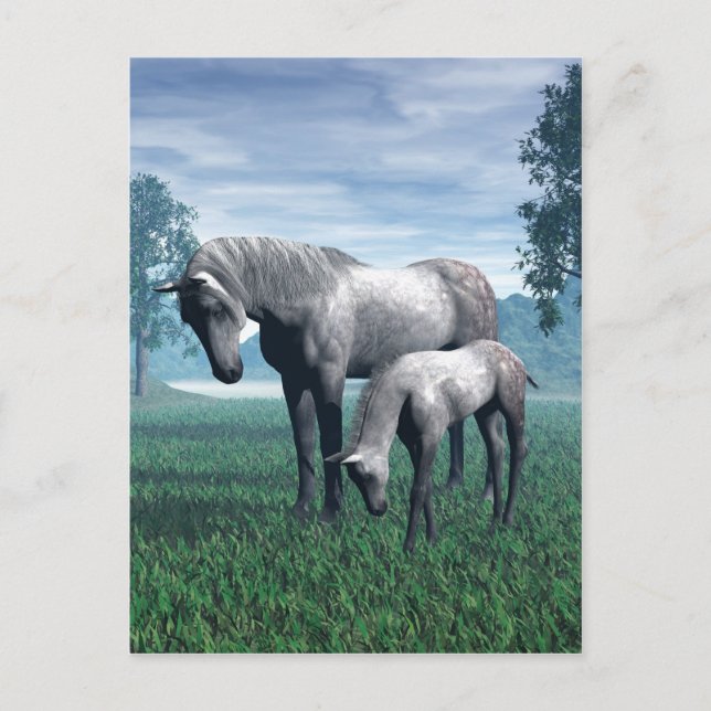 Mare and Foal Postkarte (Vorderseite)
