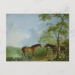 Mare and Hallion in einer Landschaft Postkarte