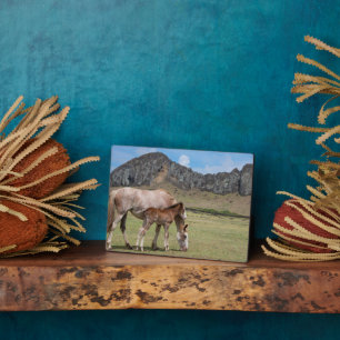 Mare & Colt am Vulkankrater von Rano Raraku Fotoplatte