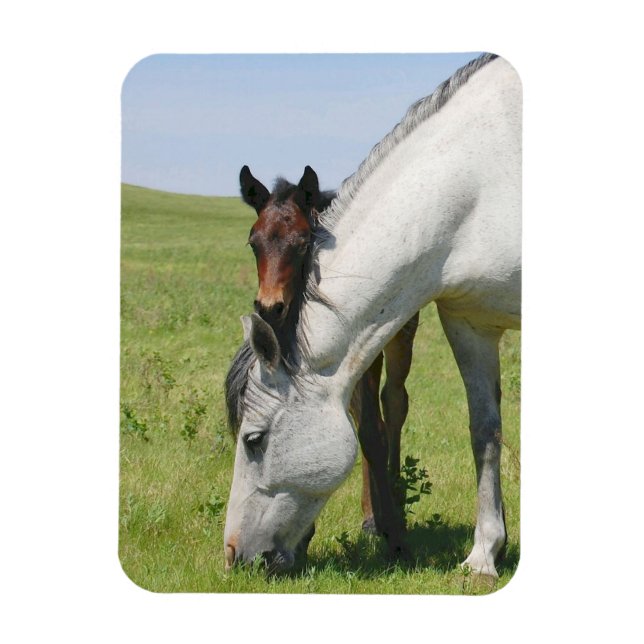 Mare Grading mit Colt Magnet (Vertikal)
