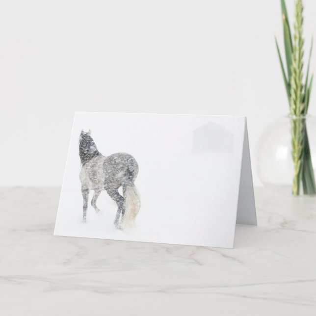 Mare in a Blizzard II Horse Greeting Card Karte (Vorderseite)