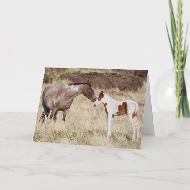 Mare mit Colt Karte (Vorderseite)