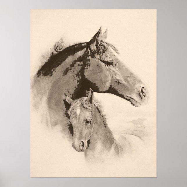 Mare-n-Foal mit Kohlewirkung-tint Poster (Vorne)