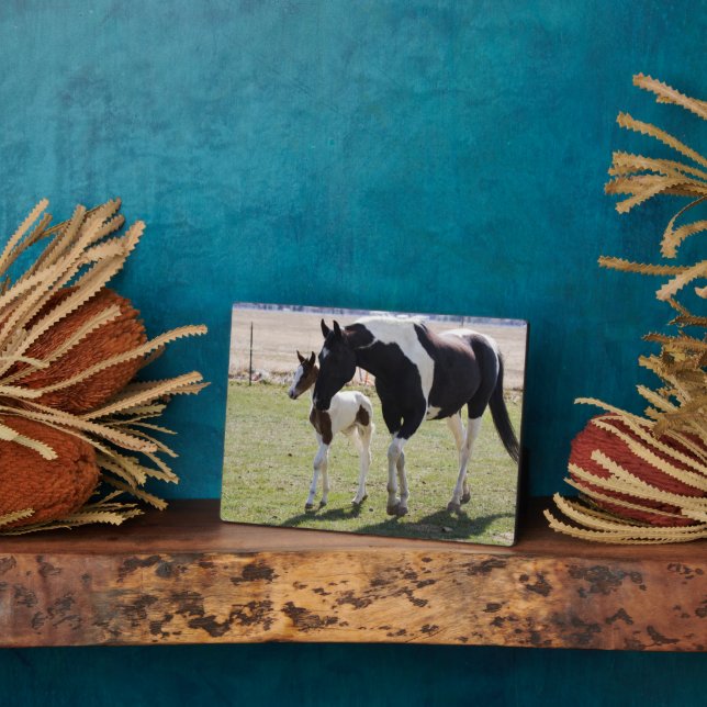 Mare und Filly Walking Fotoplatte (Seite)