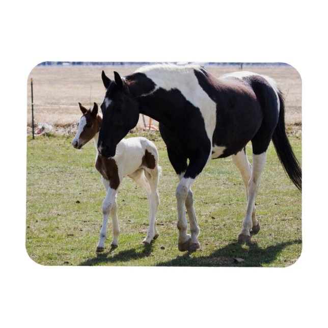 Mare und Filly Walking Magnet (Horizontal)