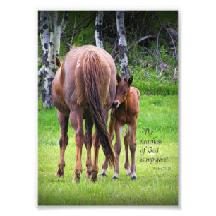 Mare with Colt - Nahe von Gott 5 x 7 drucken Fotodruck