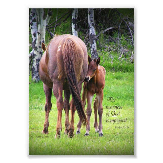 Mare with Colt - Nahe von Gott 5 x 7 drucken Fotodruck (Vorne)