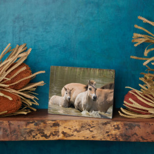 Mare with Foal Crossing a River Fotoplatte