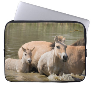 Mare with Foal Crossing a River Laptopschutzhülle
