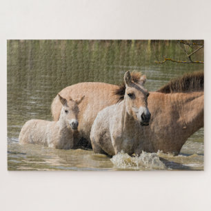 Mare with Foal Crossing a River Puzzle