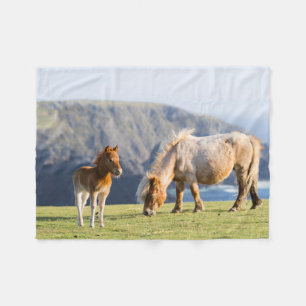 Mare with Foal, Shetland Islands, Schottland Fleecedecke