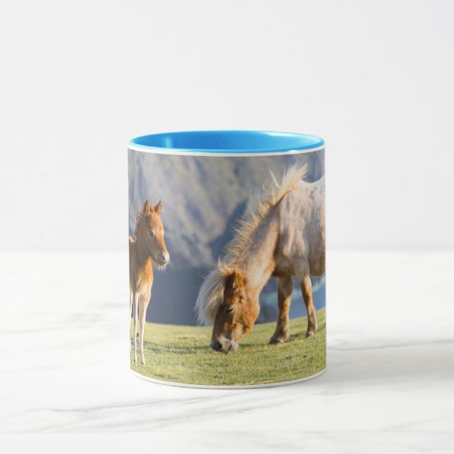 Mare with Foal, Shetland Islands, Schottland Tasse (Zentrum)