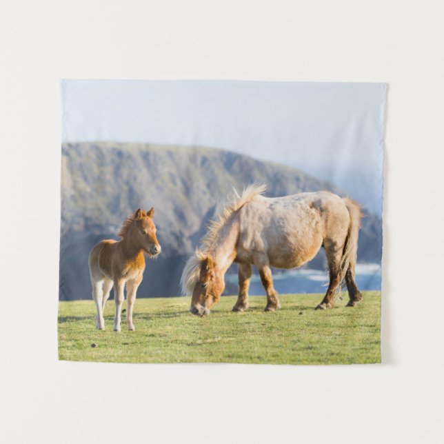Mare with Foal, Shetland Islands, Schottland Wandteppich (Vorderseite (Horizontal))