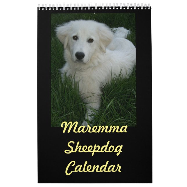 Maremma Schäferhund-Kalender Kalender (Titelbild)