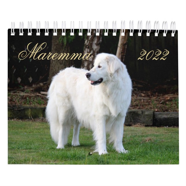Maremma sheepdog 2022 SmallCalendar, White Kalender (Titelbild)