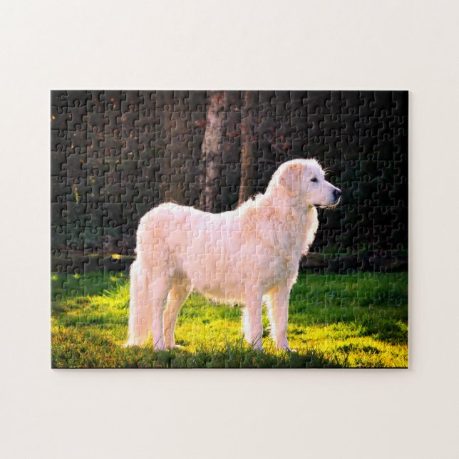 Maremma Sheepdog Beauty Puzzle (Horizontal)