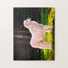 Maremma Sheepdog Beauty Puzzle