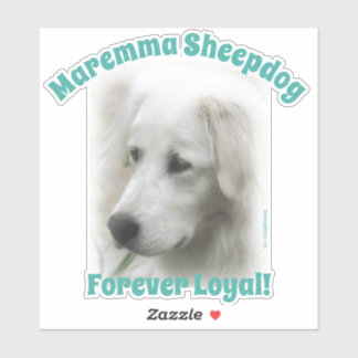 Maremma sheepdog Forever Loyal transparente Aufkle Aufkleber