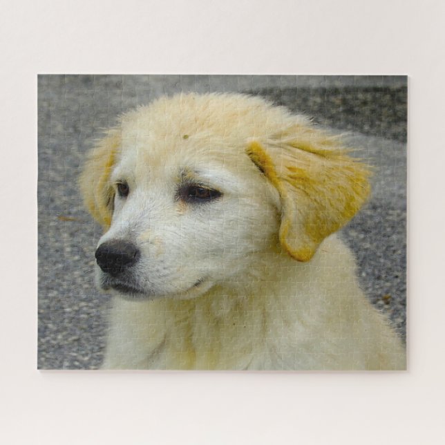 Maremma Sheepdog. Puzzle (Horizontal)