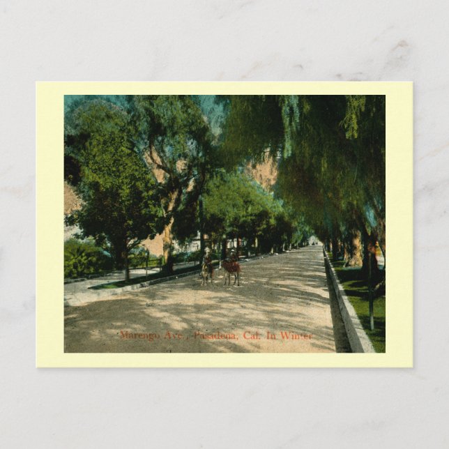 Marengo Ave., Pasadena, Kalifornien Vintag Postkarte (Vorderseite)