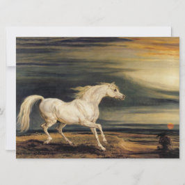 Marengo das Weiße Pferd Karte