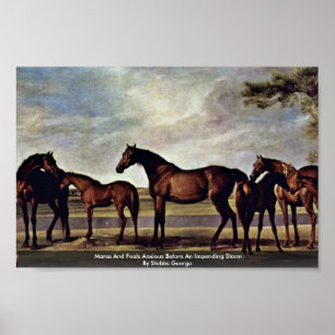 Mares and Foals ängstlich vor einem drohenden Stur Poster