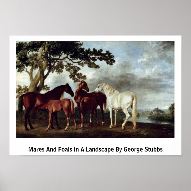 Mares and Foals in einer Landschaft von George Stu Poster (Vorne)