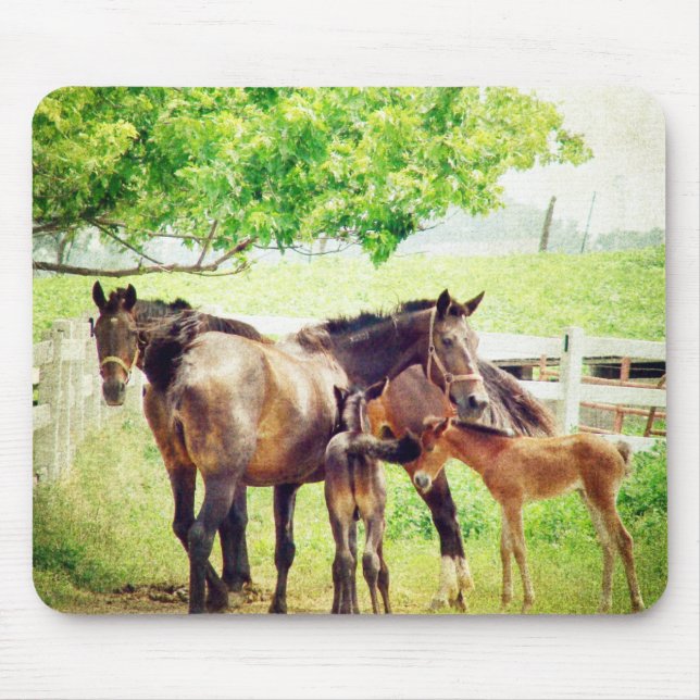 Mares und Foals Mousepad (Vorne)