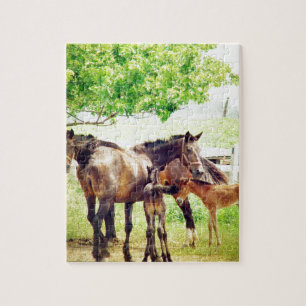 Mares und Foals Puzzle