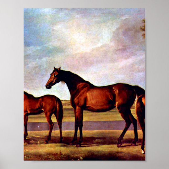 Mares und Fohlen von George Stubbs Poster (Vorne)
