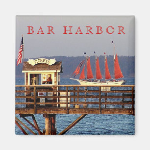 Margaret Todd Magnet