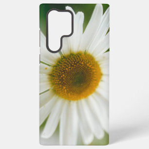 Margarite - Leucanthemum vulgare   Samsung Galaxy Hülle