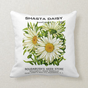 Margarite Vintage-Samenpackung Kissen